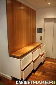 SoHo Condo Custom Entry Cabinet